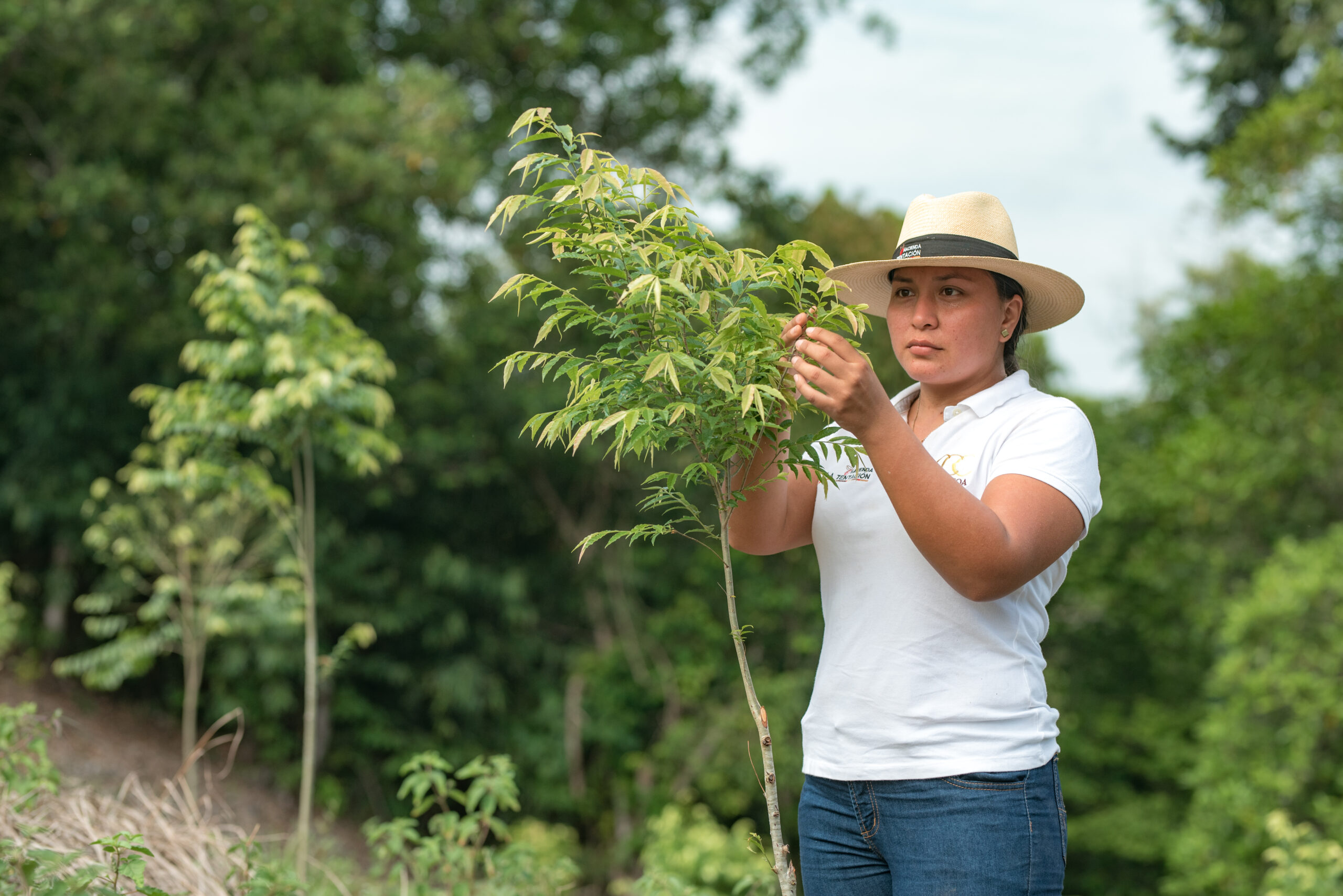Inclusive design public space